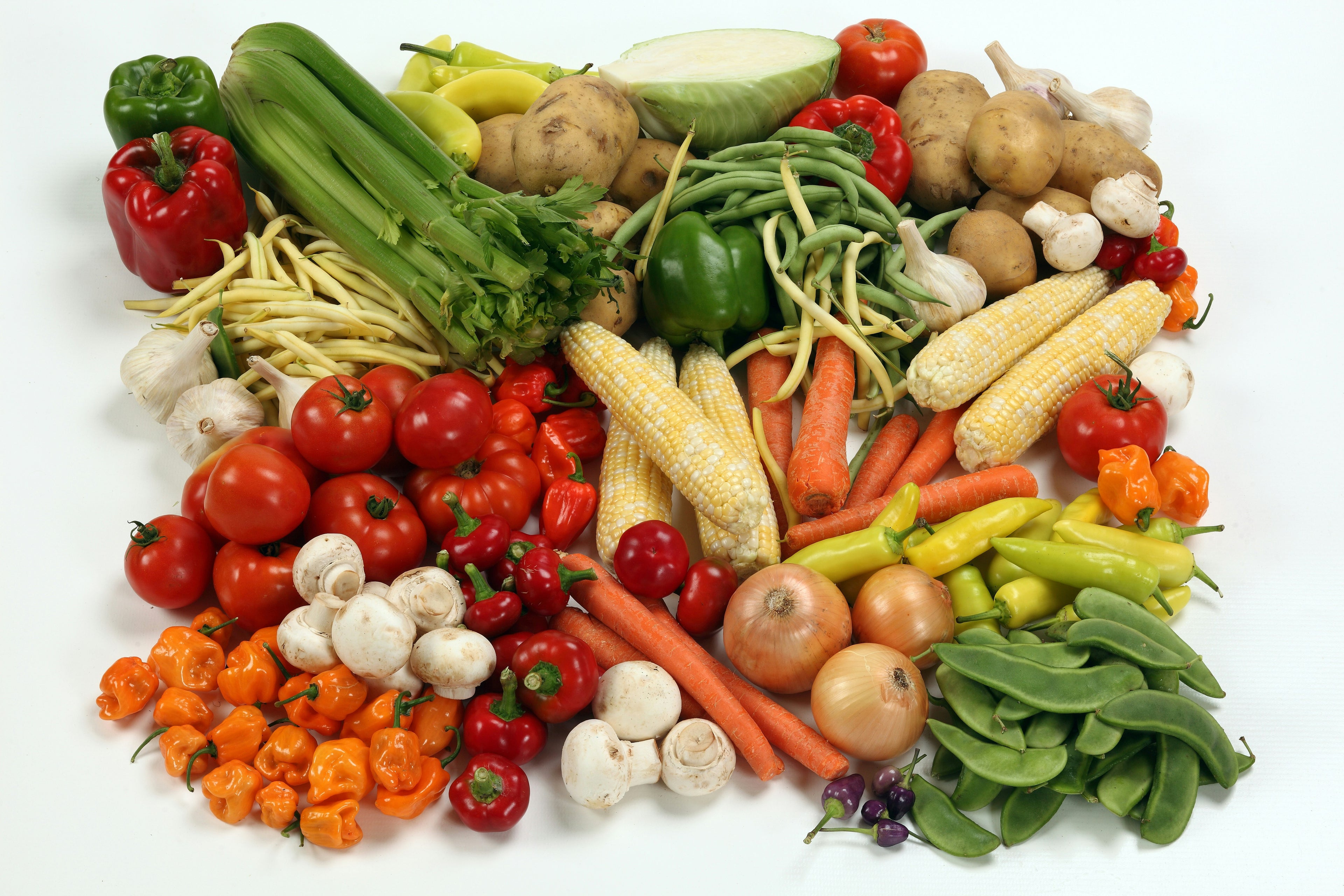 VEGETABLES سبزیاں