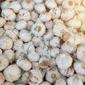 Garlic لہسن