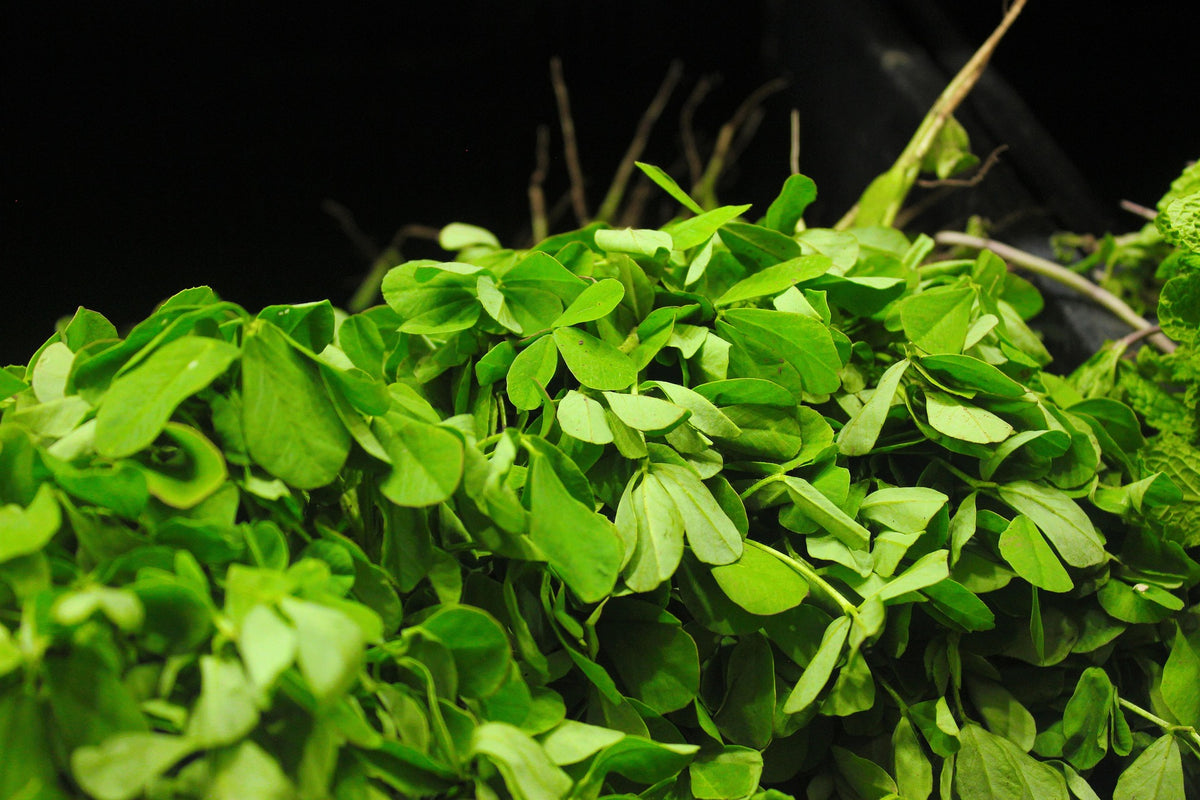Methi — 250 gm | میتھی