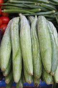 Fresh Bottle Gourd – 1kg | تازہ لوکی