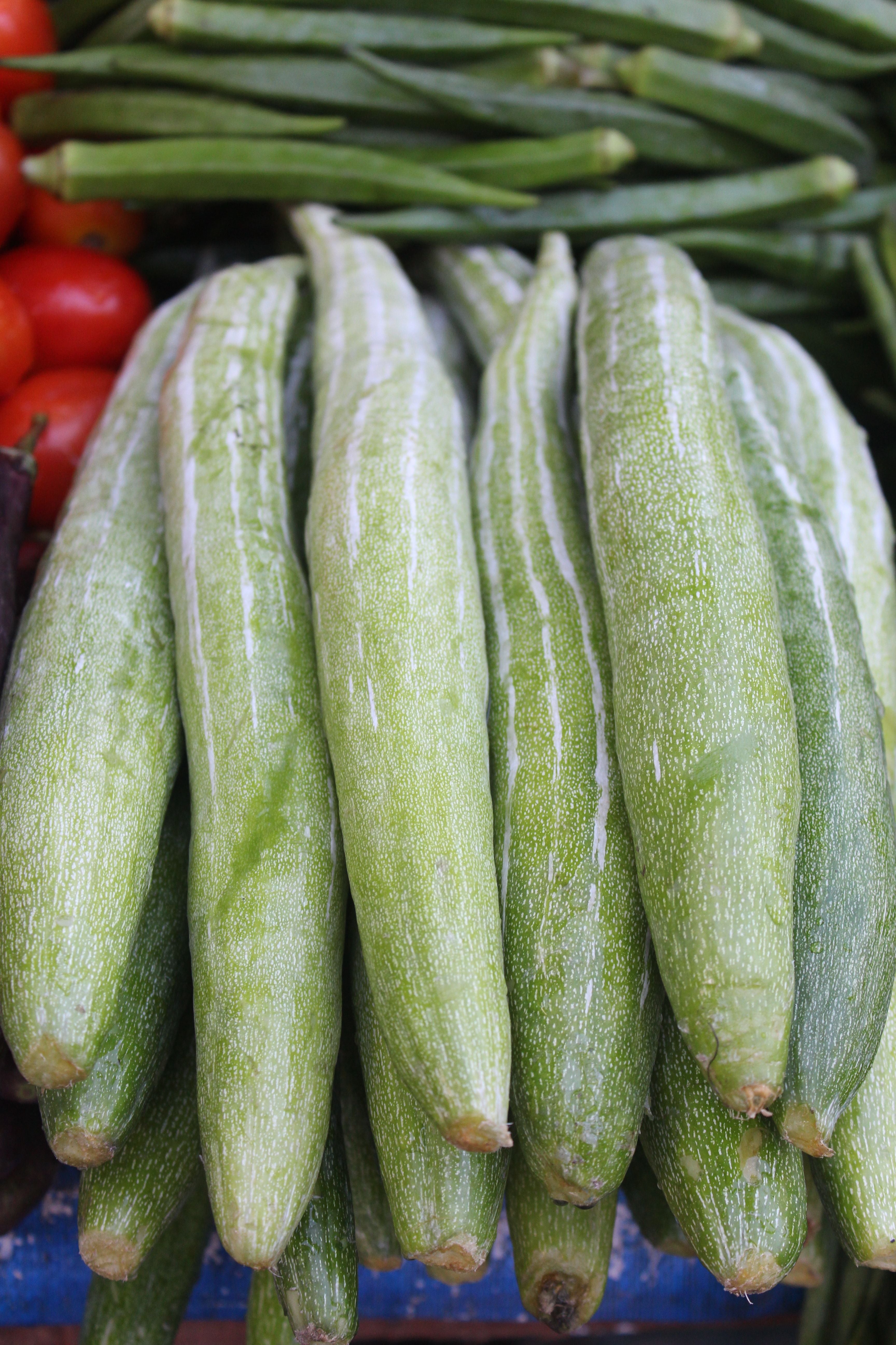 Fresh Bottle Gourd – 1kg | تازہ لوکی