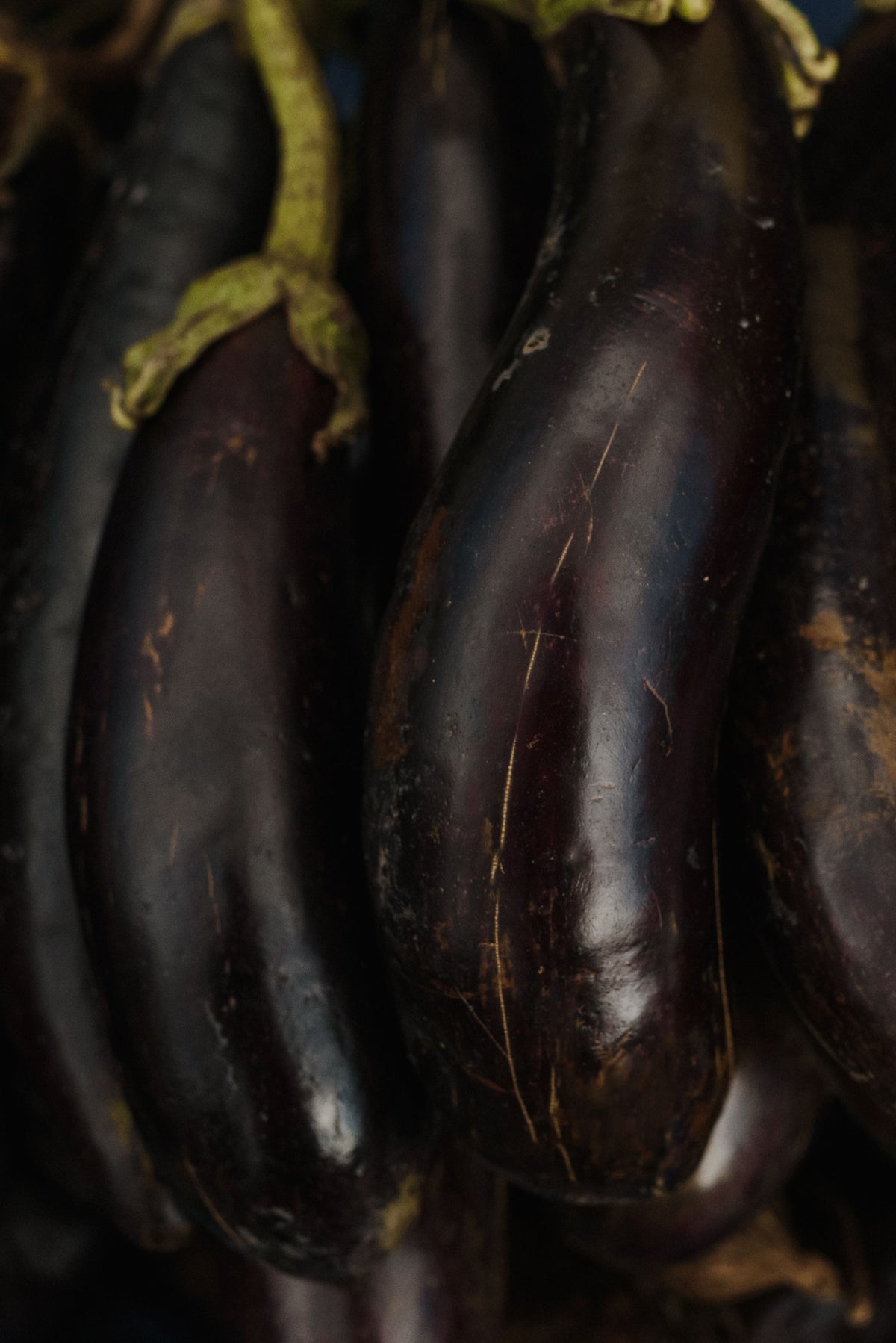 Lambi Bengan — 1 kg | لمبا بینگن