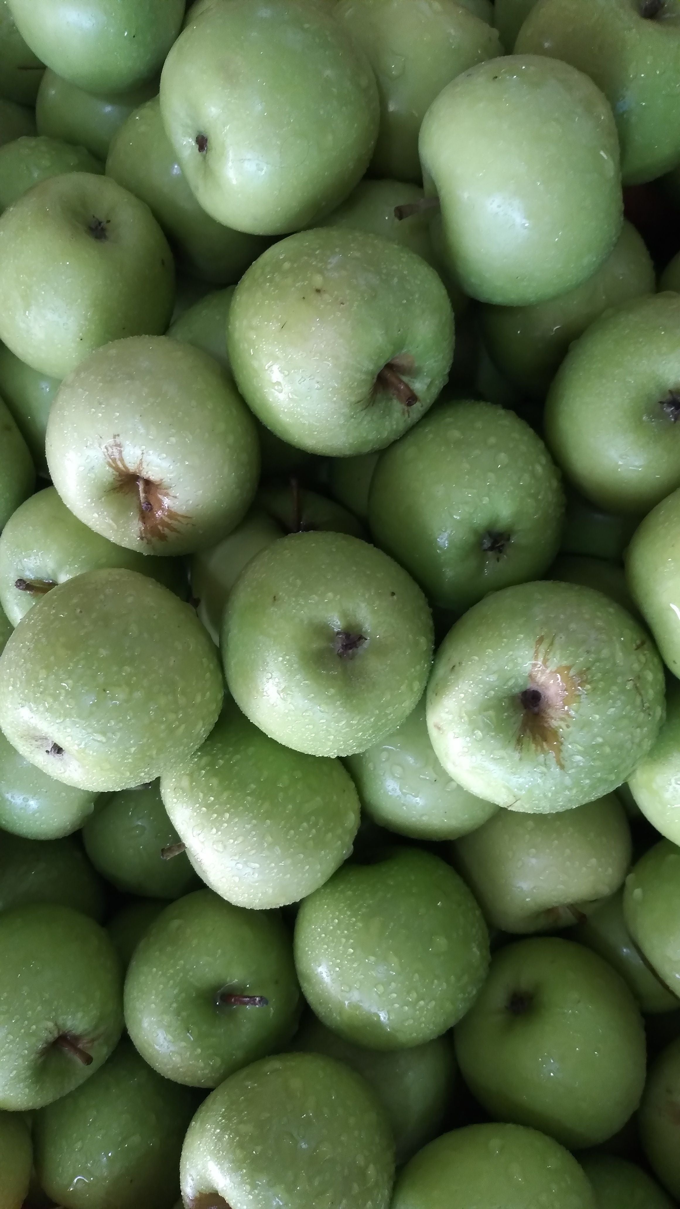 Fresh Green Apple – 1kg | تازہ سبز سیب