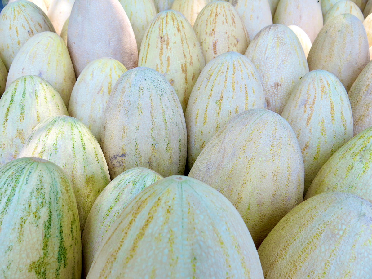 Melon خربوزہ