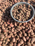 Aloo Lal — 1 kg | سرخ آلو