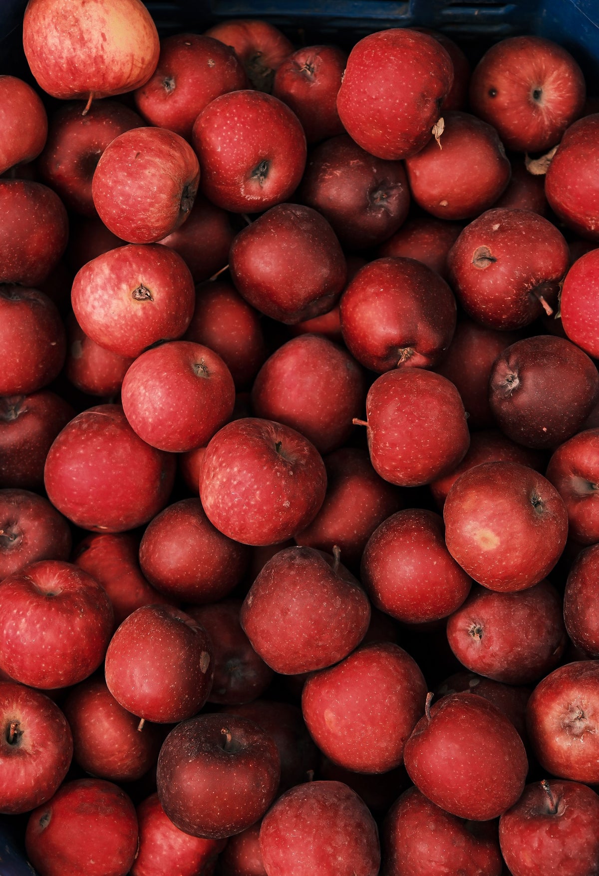 Red Apple — 500 gm | سرخ سیب