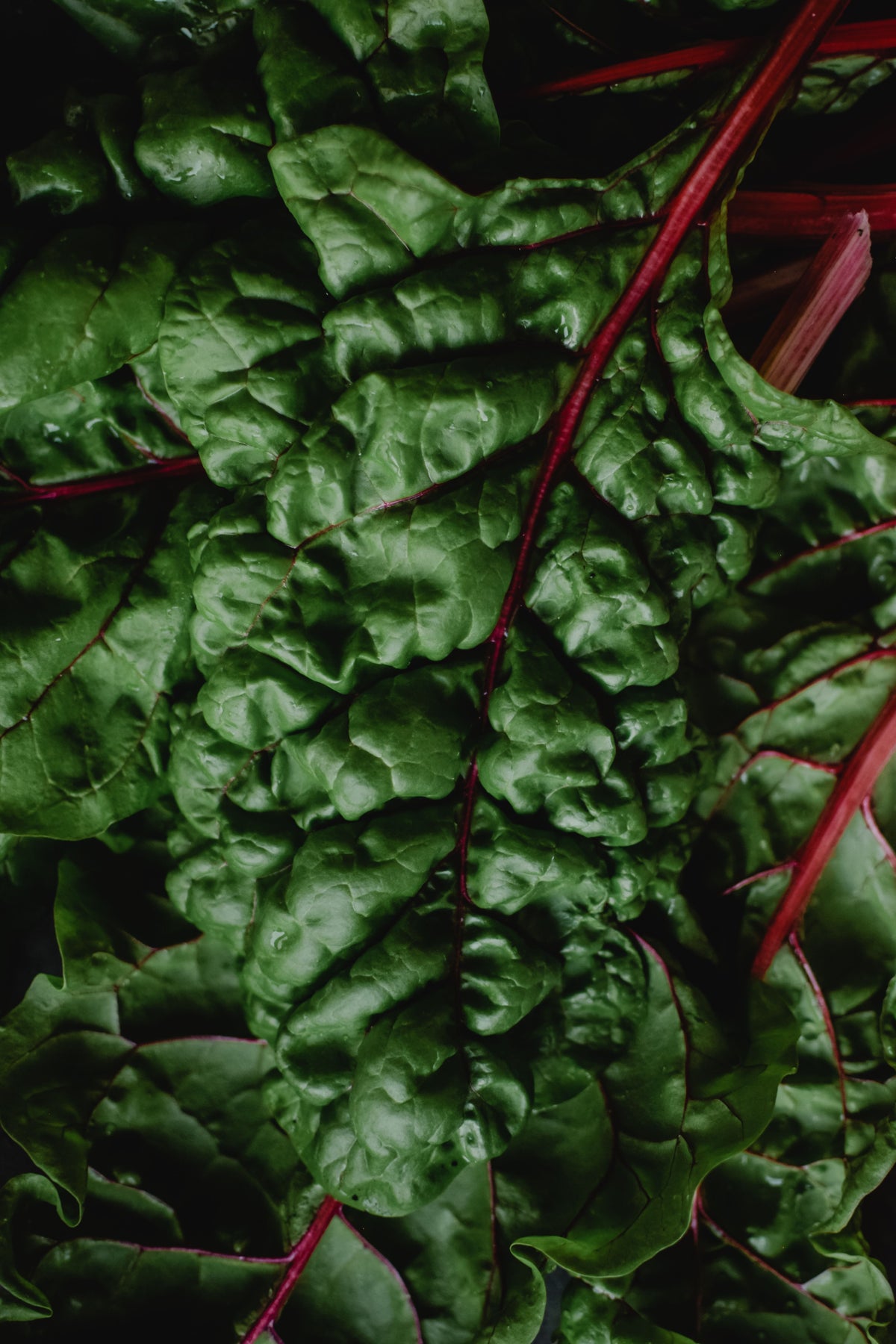 Lal Saag — 1 kg | لال ساگ