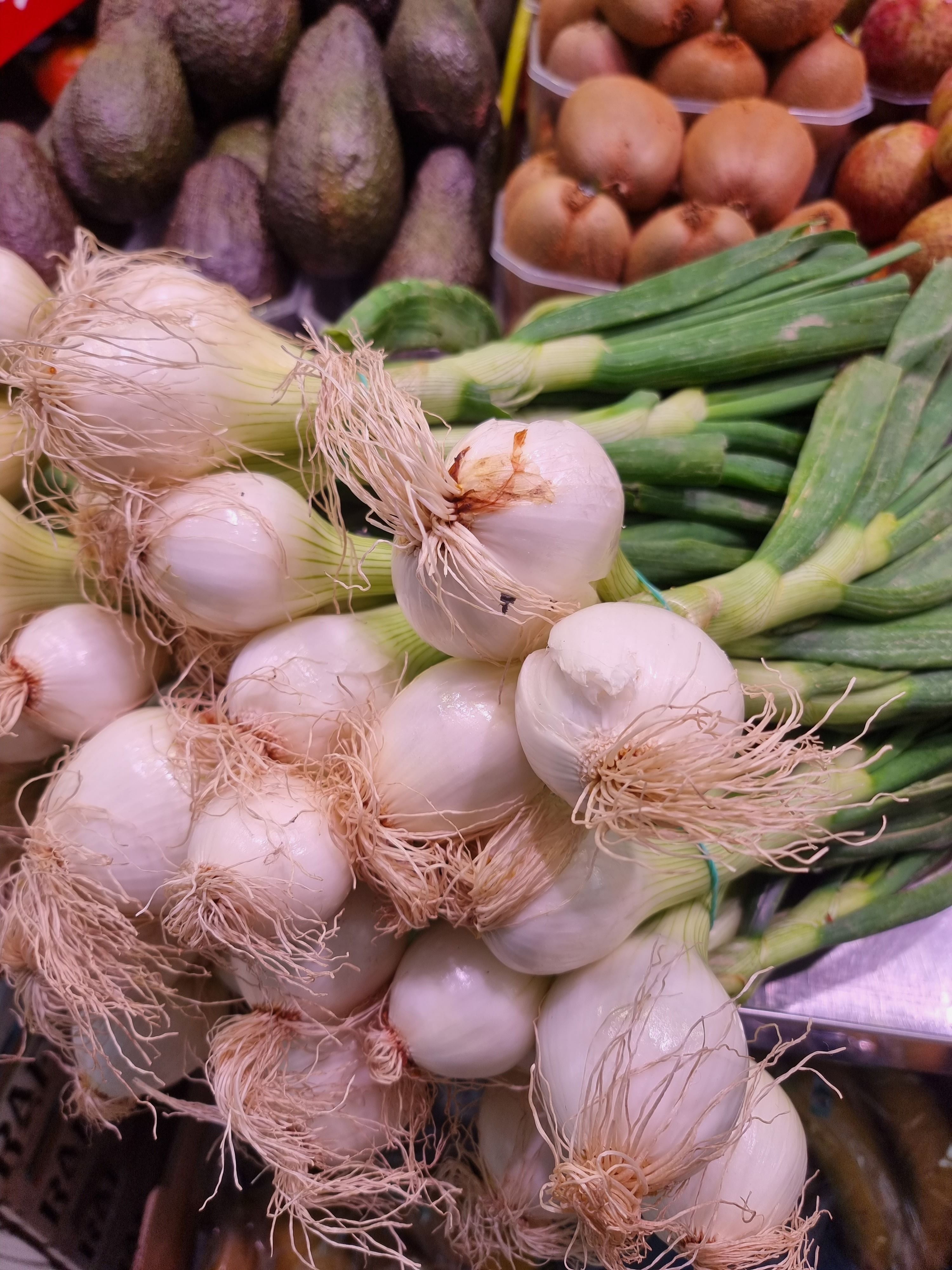 A close-up of a bunch of white spring onions with pale bulbs and long light tan roots, arranged in front of green scallions, with avocados and brown onions in the background.