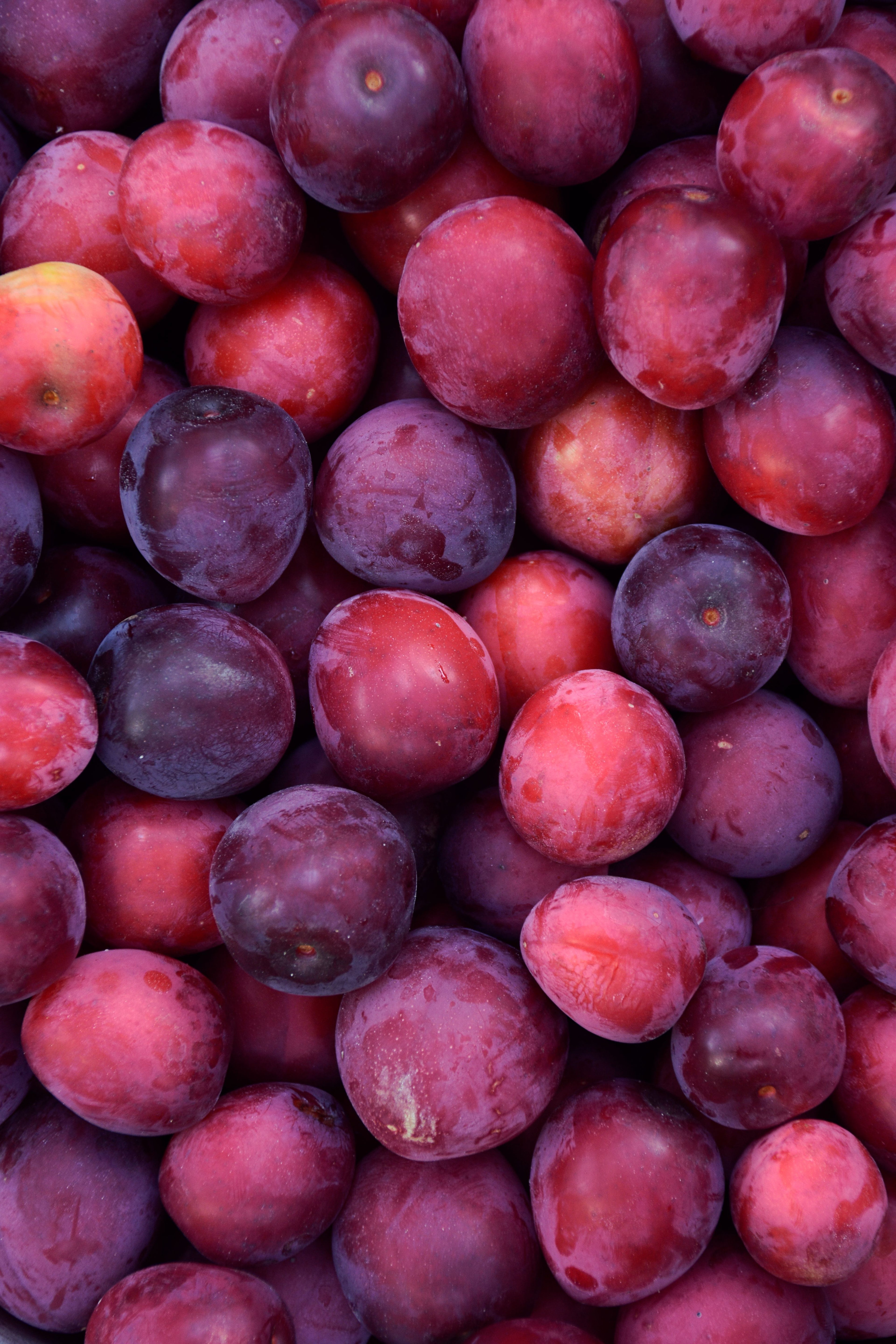Fresh Plum – 1kg | تازہ آلو بخارہ
