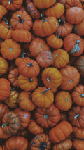 Fresh Pumpkin – 1kg | تازہ کدو