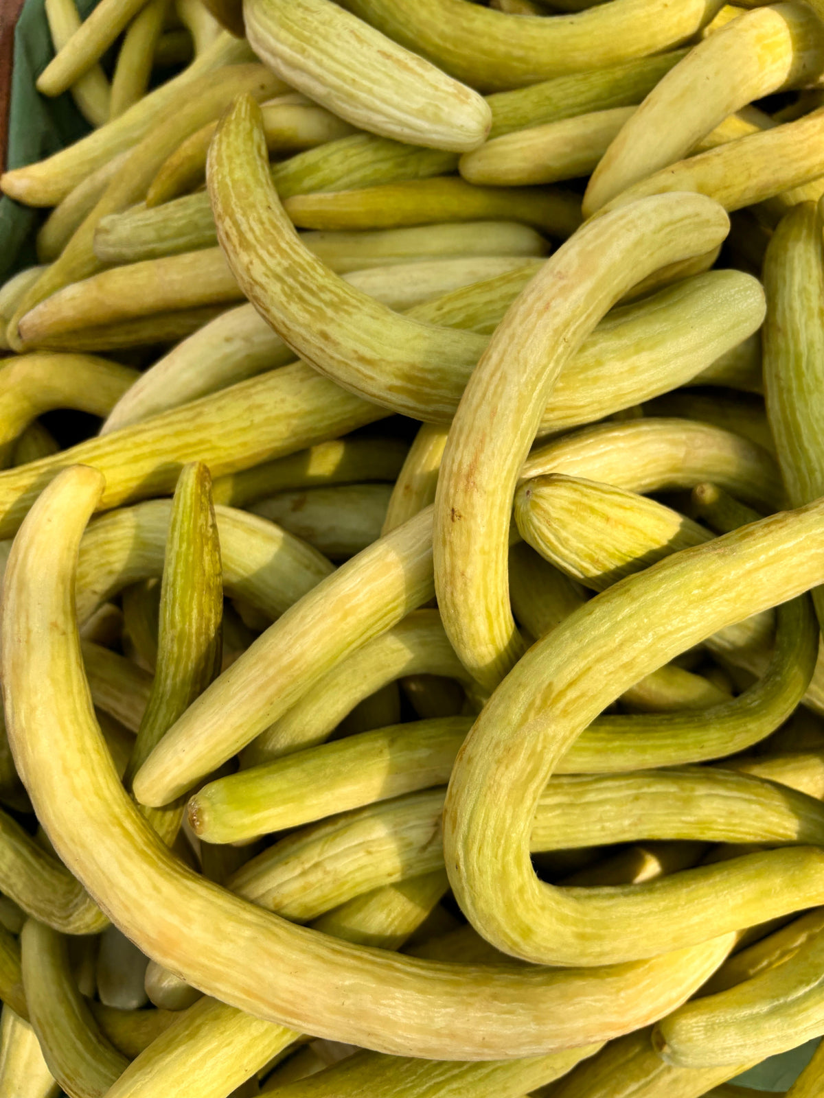 Kakri — 500 gm | ککڑی