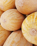 Garma — 1 kg | گرما