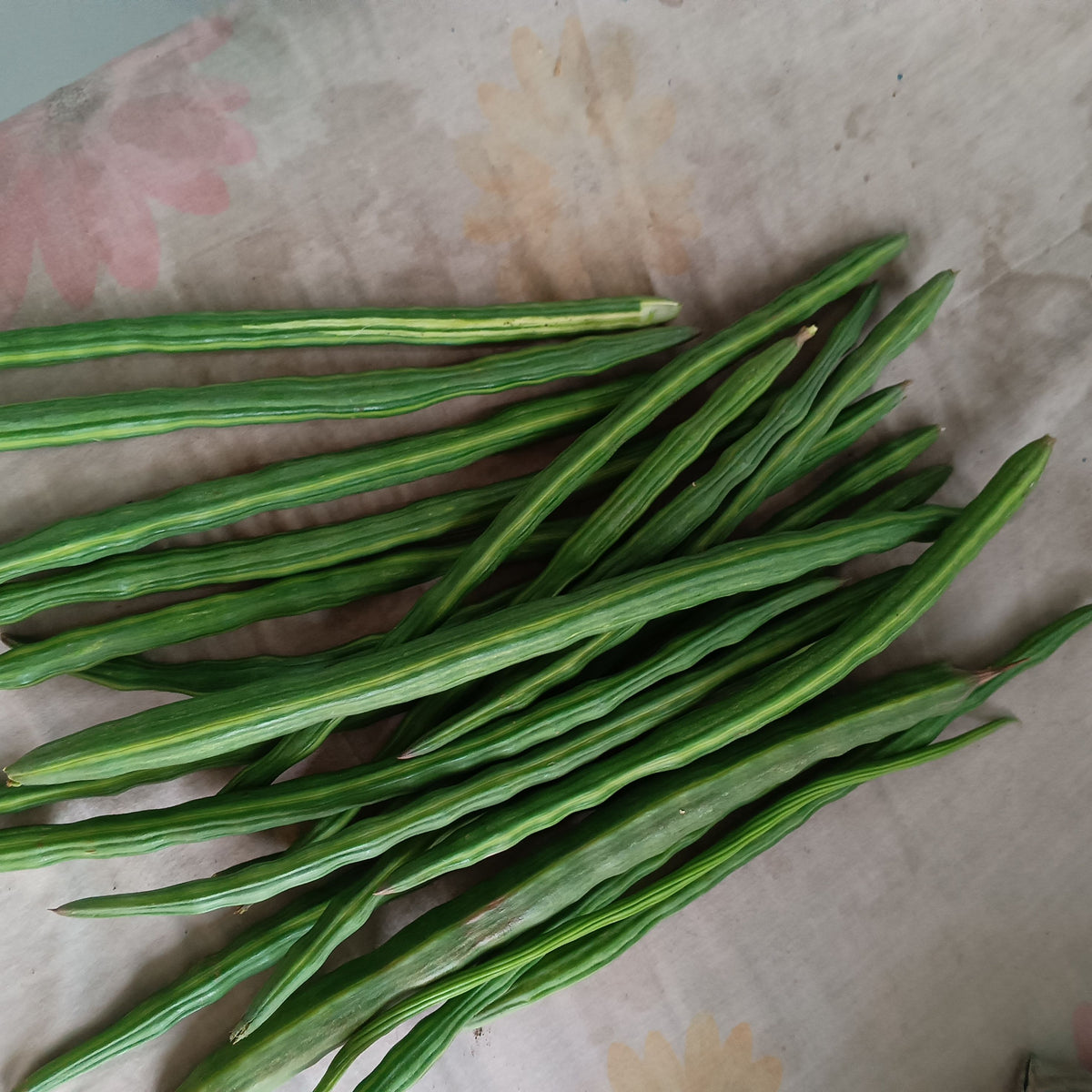 Mongra — 500 gm | مونگرا