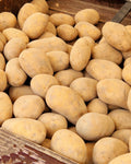 Potato آلو