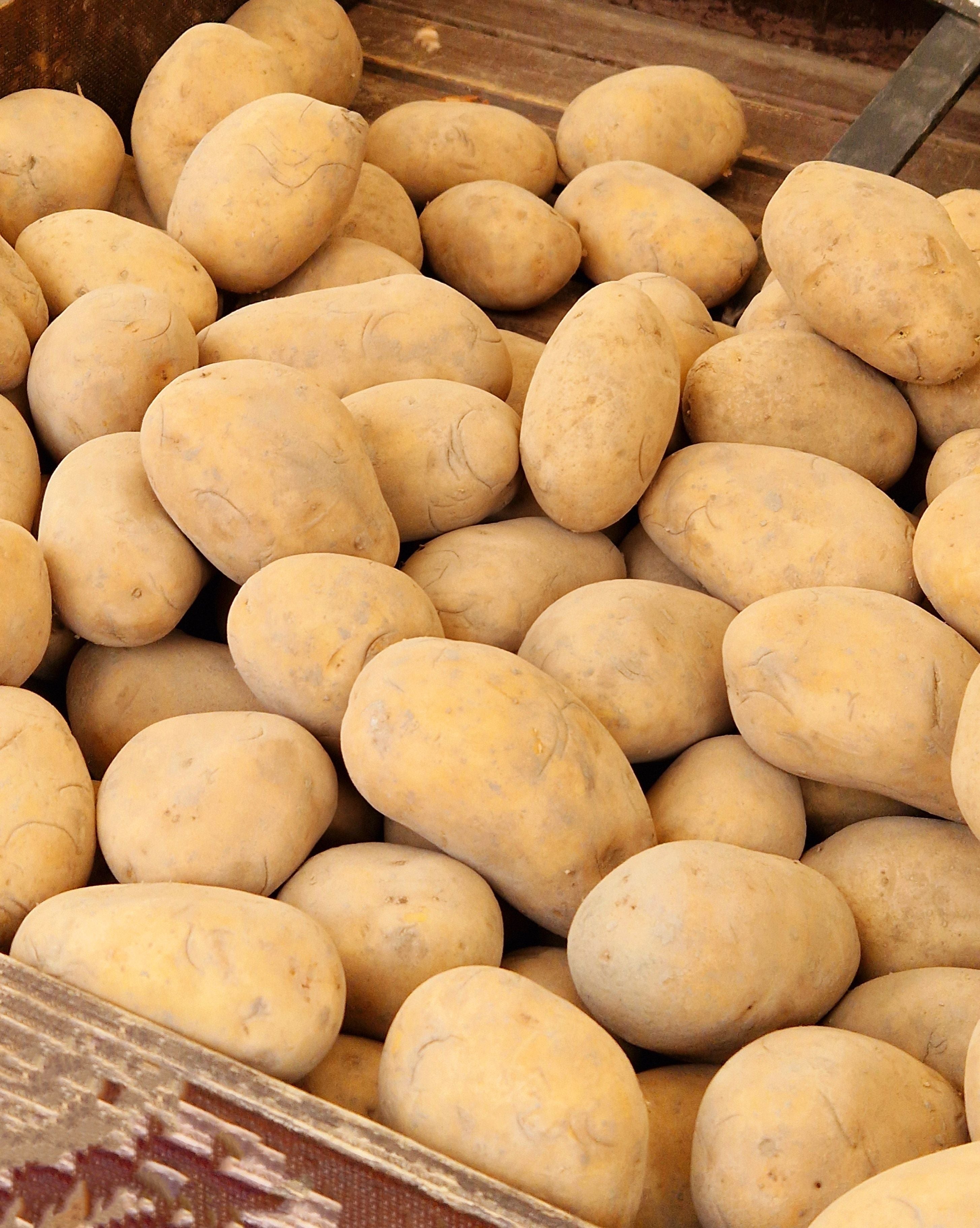 Potato آلو
