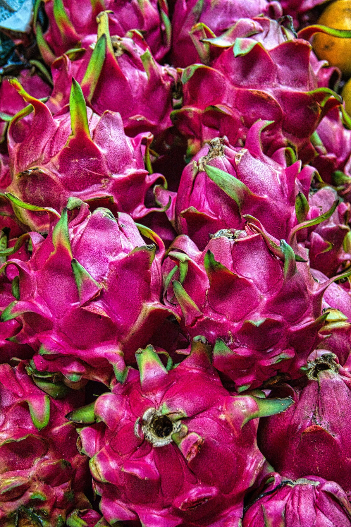 Dragon Fruit — 500 gm | ڈریگن فروٹ
