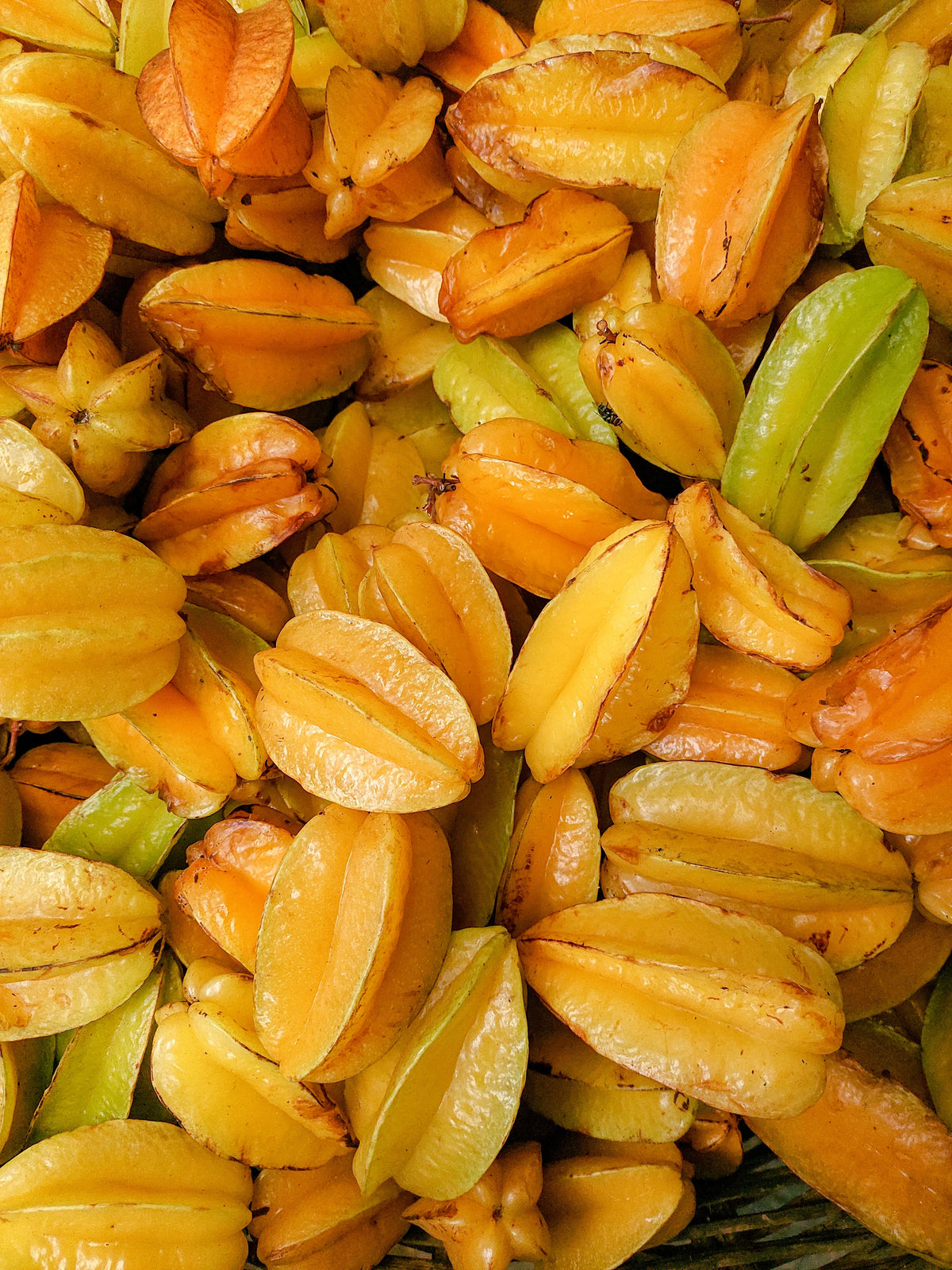 Karonda — 500 gm | کروندا