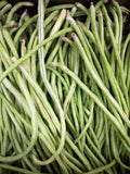 Green Beans 500gm پھلیاں