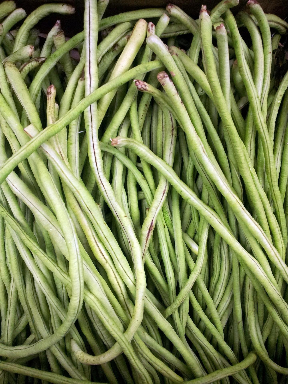 Green Beans 500gm پھلیاں