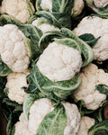 Cauliflower پھول گوبھی