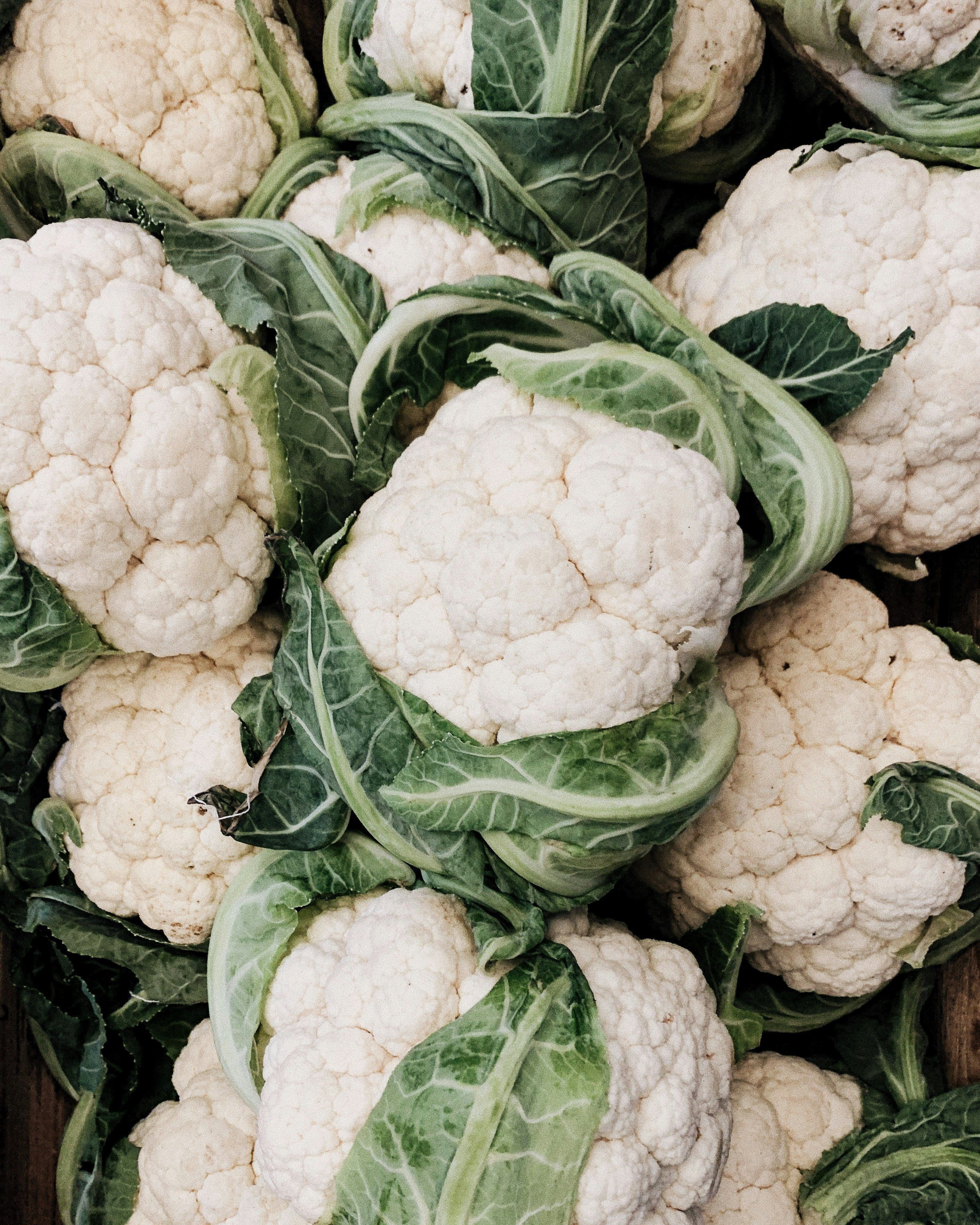 Cauliflower پھول گوبھی
