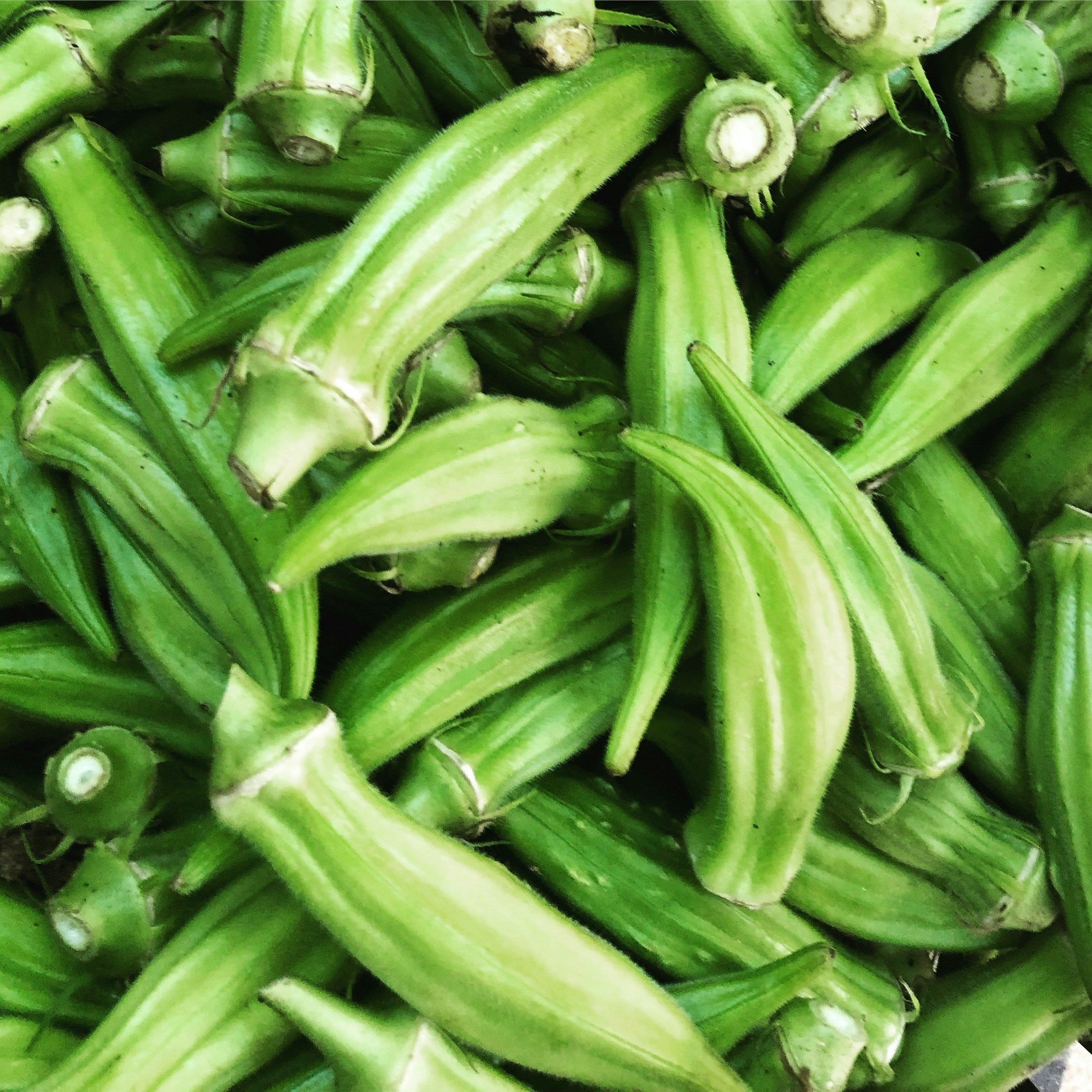 Okra بھنڈی