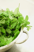 Mint پودینہ